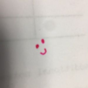 Meet your Posher, Annie